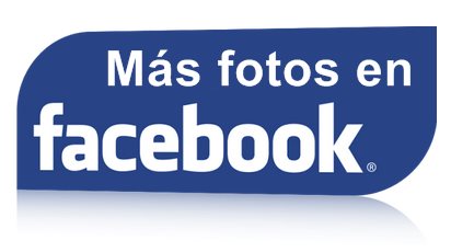 Ver más fotos del Campeonato en Facebook.