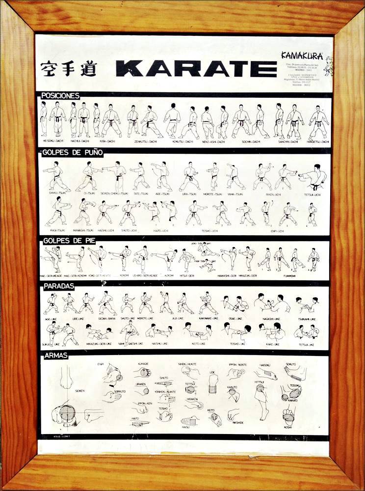Técnicas de Karate