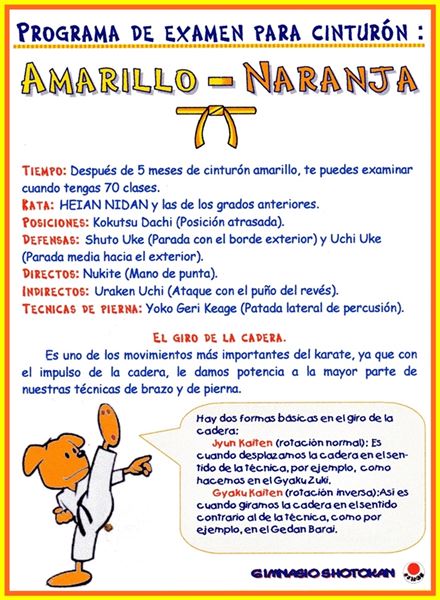 Cinturón Amarillo-Naranja