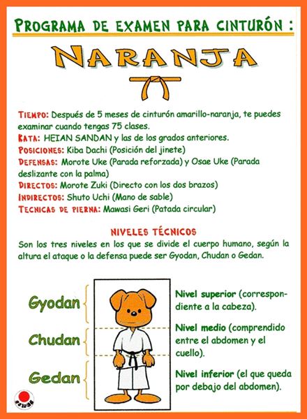 Cinturón Naranja