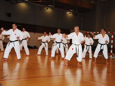 Grupo de karatekas realizando Heian Shodan