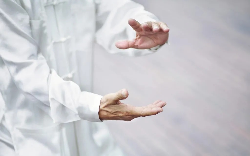 Taichi Gijon