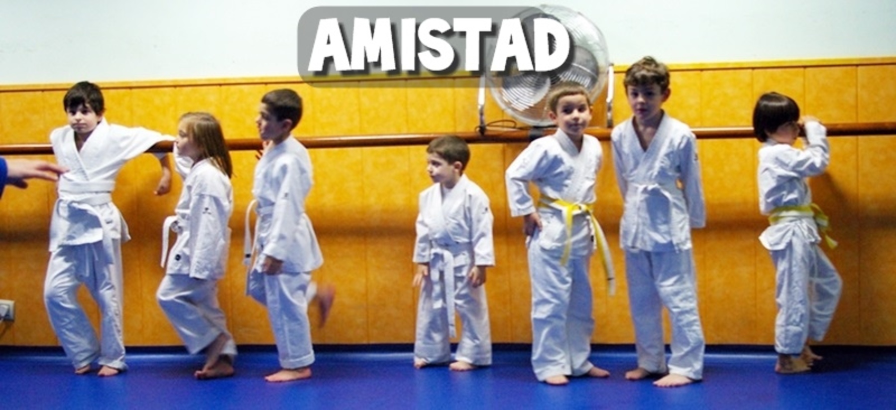 Gimnasio Shotokan