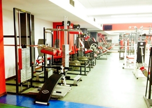 Sala de Musculación