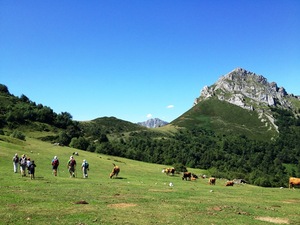 Pico Recuencu