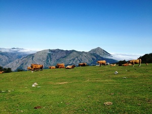 Pico Pierzu