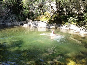 Río Ponga