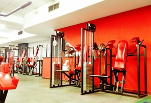 Sala de Cardio-Musculación