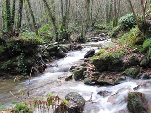 Río Nonaya