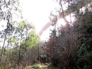 Senda del Río Nonaya