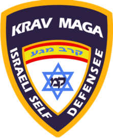 En Septiembre retomamos las clases de Krav Maga