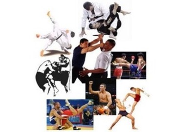 VII Campus de Artes Marciales y Deportes de Contacto 