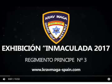 Exhibición Militar de Krav Maga 
